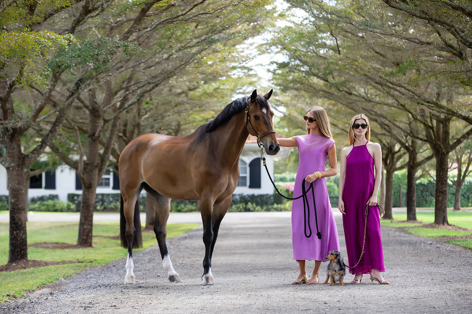 Sarah Dress - Amethyst - Image 14