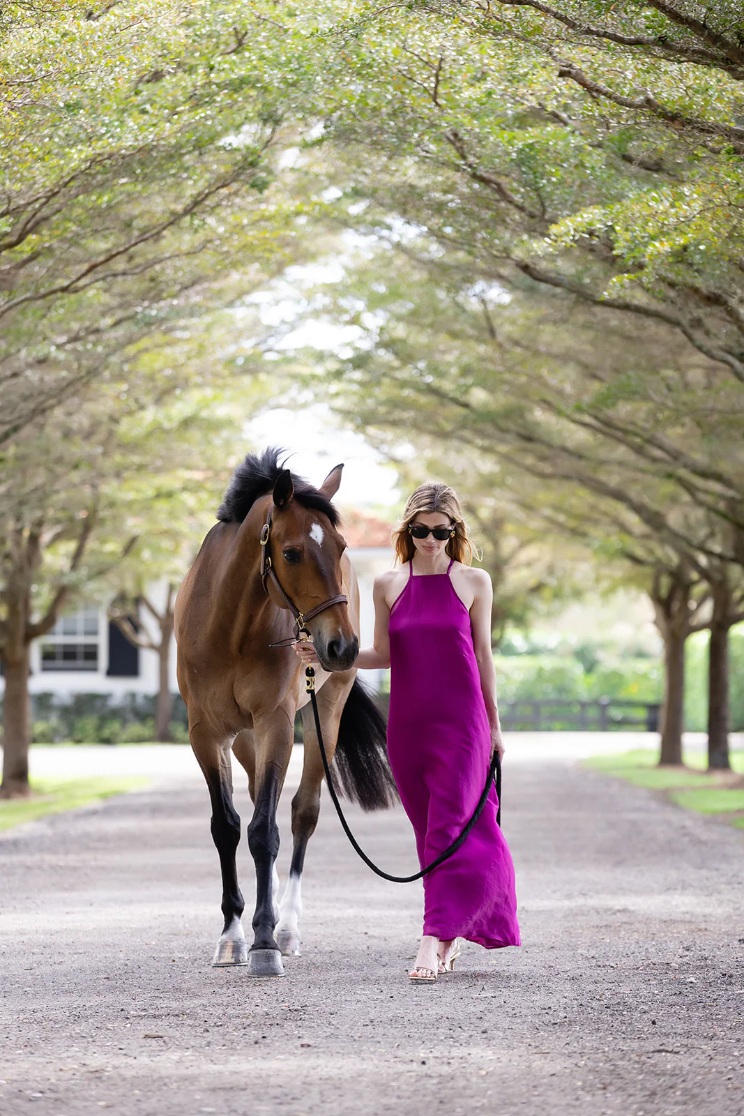 Sarah Dress - Amethyst - Image 6